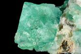 Green Fluorite Crystal Cluster - South Africa #111570-2